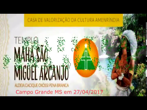 Galeria de Vídeos