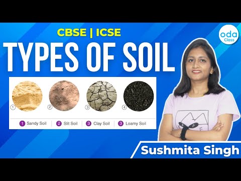 Types of Soil | Chemistry | CBSE | ICSE | Sushmita Ma'am