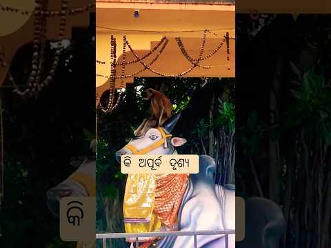 Har har Mahadev 🙏..... #ytshorts #trending #musicgenre #newsong