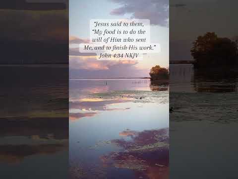 His Will#food #christ #jesus #truth #motivation #relationship #scripture #fyp #apostolic #bibletruth