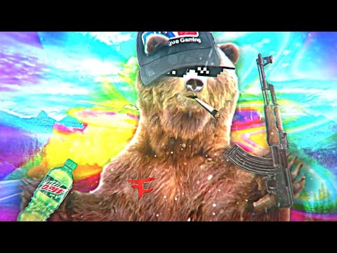 MLG ANIMALS