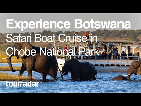 Experience Botswana Safari Boat Cruise in Chobe National Park