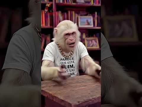 DESMOTIVACIONAL SHOW: ALBINÃO RESPONDE