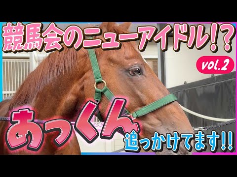 【アーレムアレスVol.2】アイドル要素満載の2歳馬・あっくんことアーレムアレスを追いかけています!今回は札幌2歳S前とレースの感想について。ぜひ、チェックしてください!