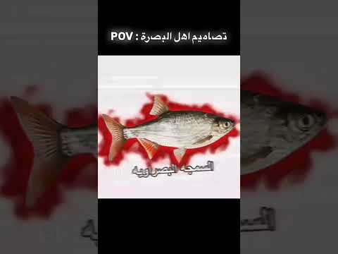 #اشتراك #لايك #اكسبلور #البصرة /اهل البصره وينكم😂😂😂