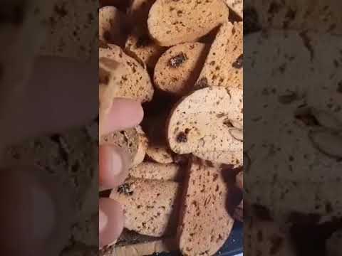 عالم بشرى ام ندى