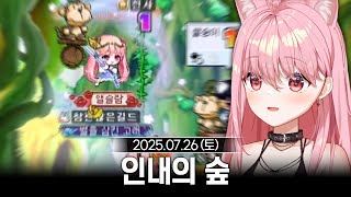 [2025/07/26] 메이플스토리 인내의 숲 견왕