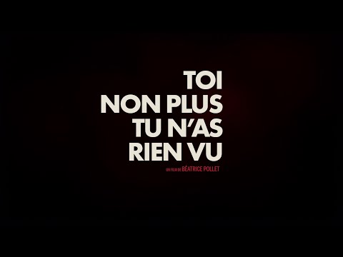 Toi non plus tu n'as rien vu'