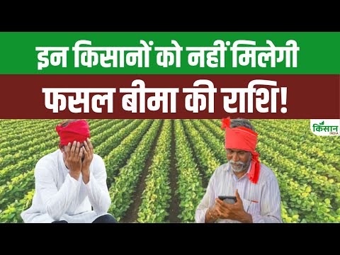 Pradhan Mantri Fasal Bima Yojana: किसान क्रेडिट कार्ड में करें ये अपडेट वरना नहीं मिलेगी राशि। KCC