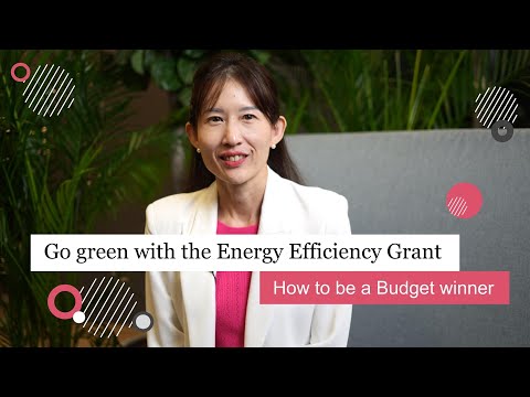 PwC' Singapore Budget Insights 2024: Go green with the Energy Efficiency Grant