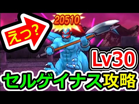 ドラクエウォーク 新強敵セルゲイナスLv30攻略解説動画！【DQW実況】