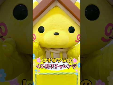 くじ引きチャレンジにゃ!