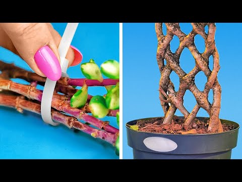 Clever Plant Hacks And DIY Gardening Ideas