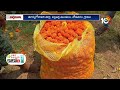 Benefits in Marigold Cultivation | బంతి సాగుతో రైతుకు లాభాలు | 10TV News - 06:35 min - News - Video