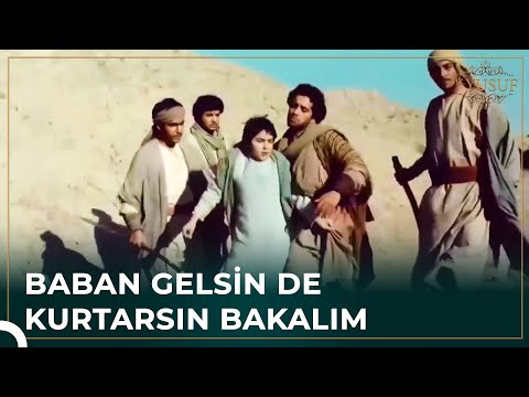 10 Kardeşin Zulmü Gecikmedi | Hz. Yusuf