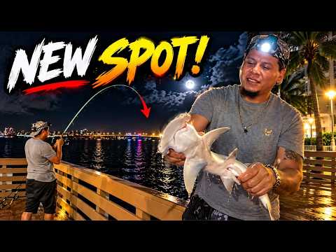 This hidden fishing spot has snappers, trout & MORE! video thumbnail