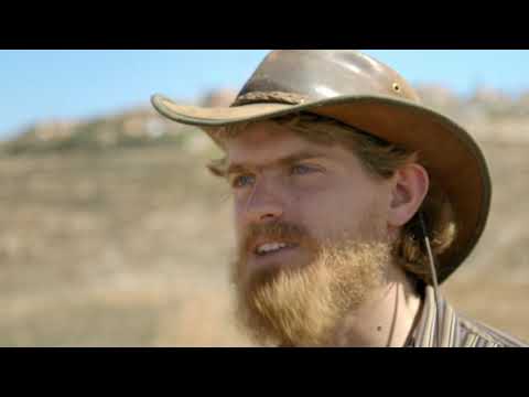 The Settlers'