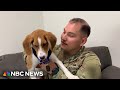 Paws of War reunites soldiers with rescued pets
