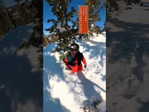 Stuck In The Snow In Tahoe.