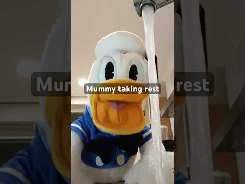 Washing time. #donaldduck #memes #comedia #funny