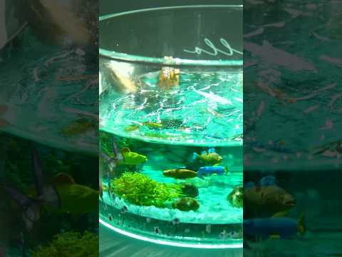 DIY Mini Aquarium Lamp from Epoxy Resin | Fish Diorama Resin Art