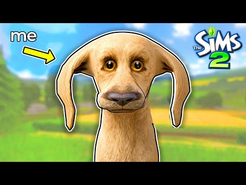 The Sims 2 but I play as a dog