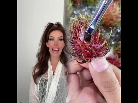 Voila la suite ! Si tu nas pas vue le debut je te laisse clicker ici :@La Petite Cindy #acting