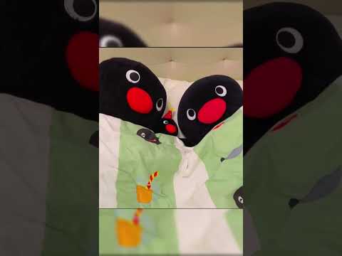 Good night, Mom and Dad#pingu #penguin #anime #cute #pets #like