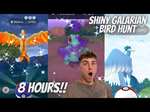 ガラルの鳥の色違いを狙うライブ配信｜ポケモンGO シャイニーハントのポイント サムネイル