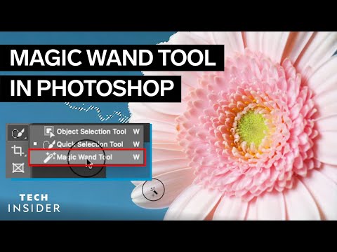 Magic Wandvideos