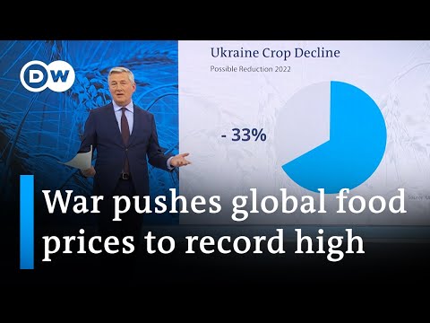 War in Ukraine is impacting global food security | DW News