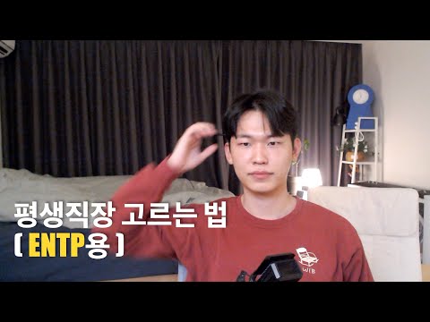 ENTP 평생직장 고르기