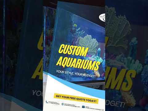 Affordable Custom Aquariums - Your Style, Your Bud Affordable Custom Aquariums - Your Style, Your Budget! 💰

You don't need deep pockets to have a c