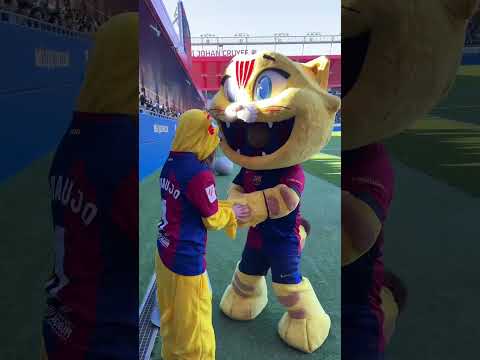 😽 Cat with its first fan! #shorts #fcbarcelona #cat