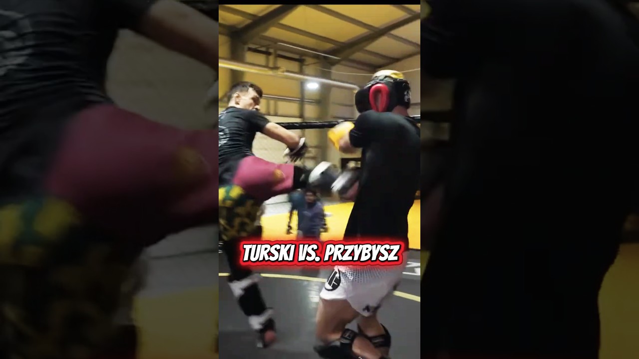 Turski vs przybysz: sparing przed xtb ksw 115 #shorts
