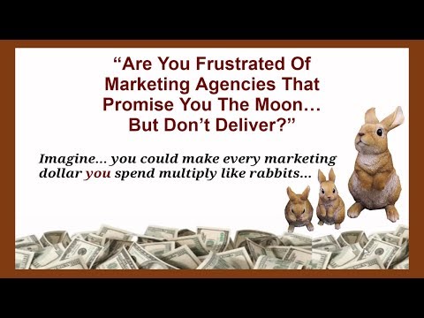 Calgary internet marketing Best promotions near me