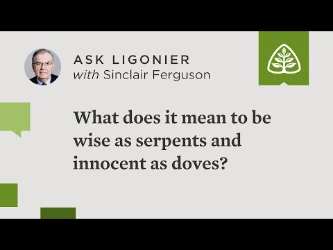 What does it mean to be “wise as serpents and innocent as doves” (Matt. 10:16)?