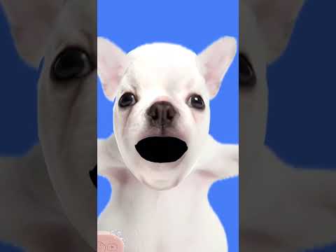 ✨that’s your model face✨