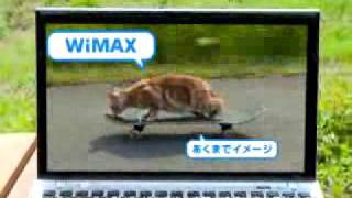 UQ-WiMAX6