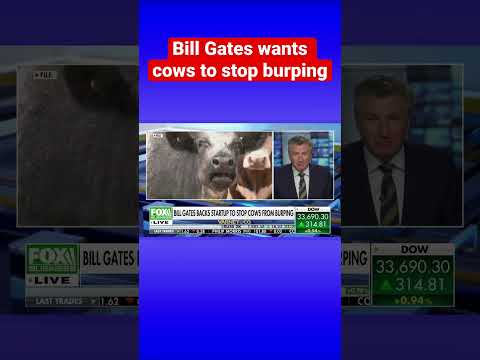 Bill Gates is backing a startup to stop cows from burping #shorts