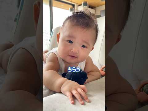 カメラを意識しまくる赤ちゃん👶🏻💕 #生後５ヶ月 #baby