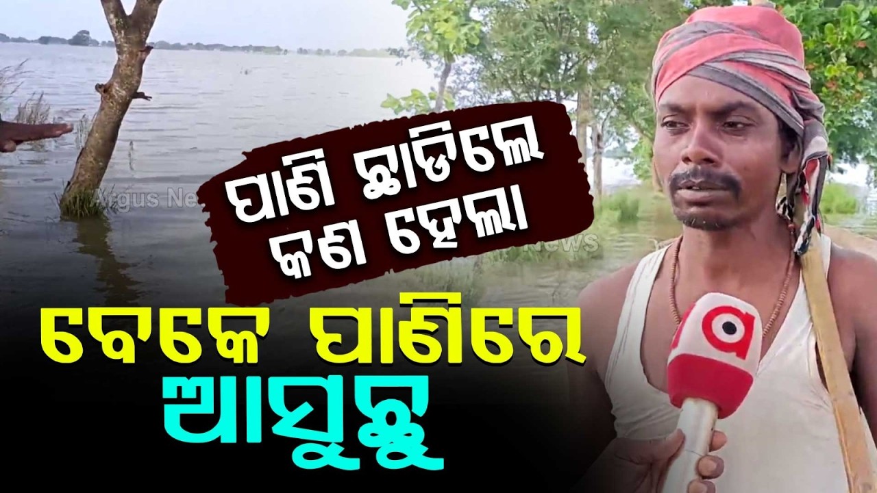 ପାଣି ଛାଡିଲେ କଣ ହେଲା | Banki Flood Crisis: 3 Ft Water In Bilipada As Tributaries Overflow |Argus News