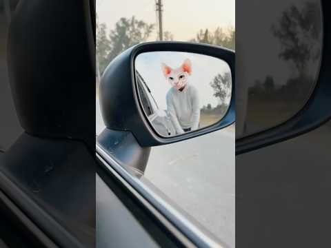 Yeh cat kha gayab ho jati hai #comedy #funny #cutebaby #shortsfeed #viralvideo