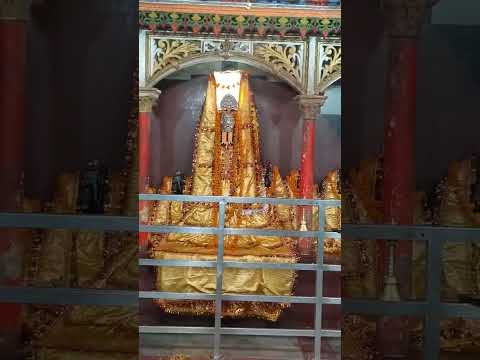 #छठ_पूजा #छठ_पूजा_reality #छठ #chhath #song #youtube #छठ_पूजा #shorts #sorts #youtube