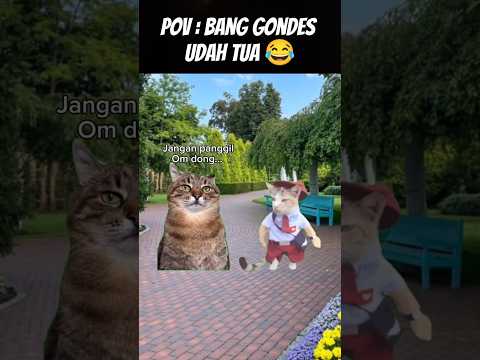 Pov : Kelahiran 2014-2019 mana nih ⁉️ #meme #cat #kucing #animation #fypシ