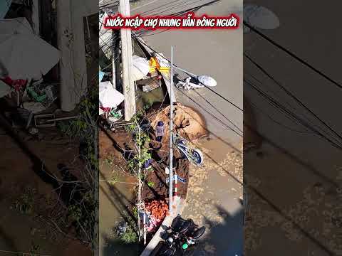 Về miền Tây Mỹ Tú sóc trăng