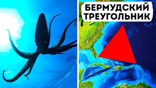 В Бермудском треугольнике могут скрываться гигантские кальмары!