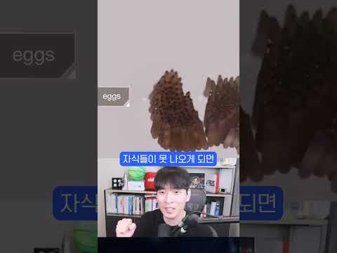 3200만 마리 모기를 풀어놓는 구글의 속셈 ㄷㄷ