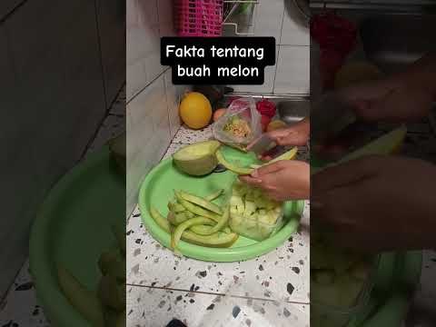 buah melon #shortsviral #ytshorts