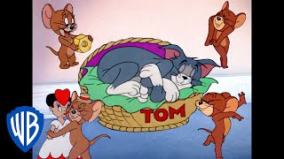 Tom a Jerry - Drzý Jerry